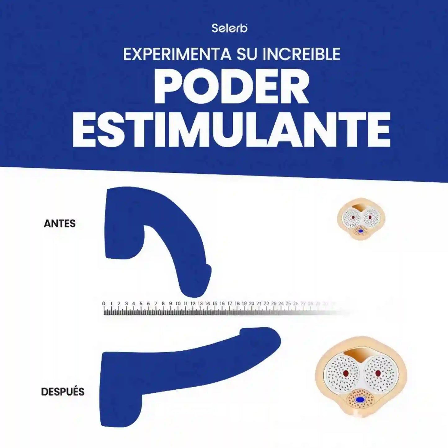 SELERB NAD+ COMPLEJO PARA HOMBRE